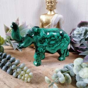 Malachite Grand éléphant- émotions, choix, confiance, connaissances