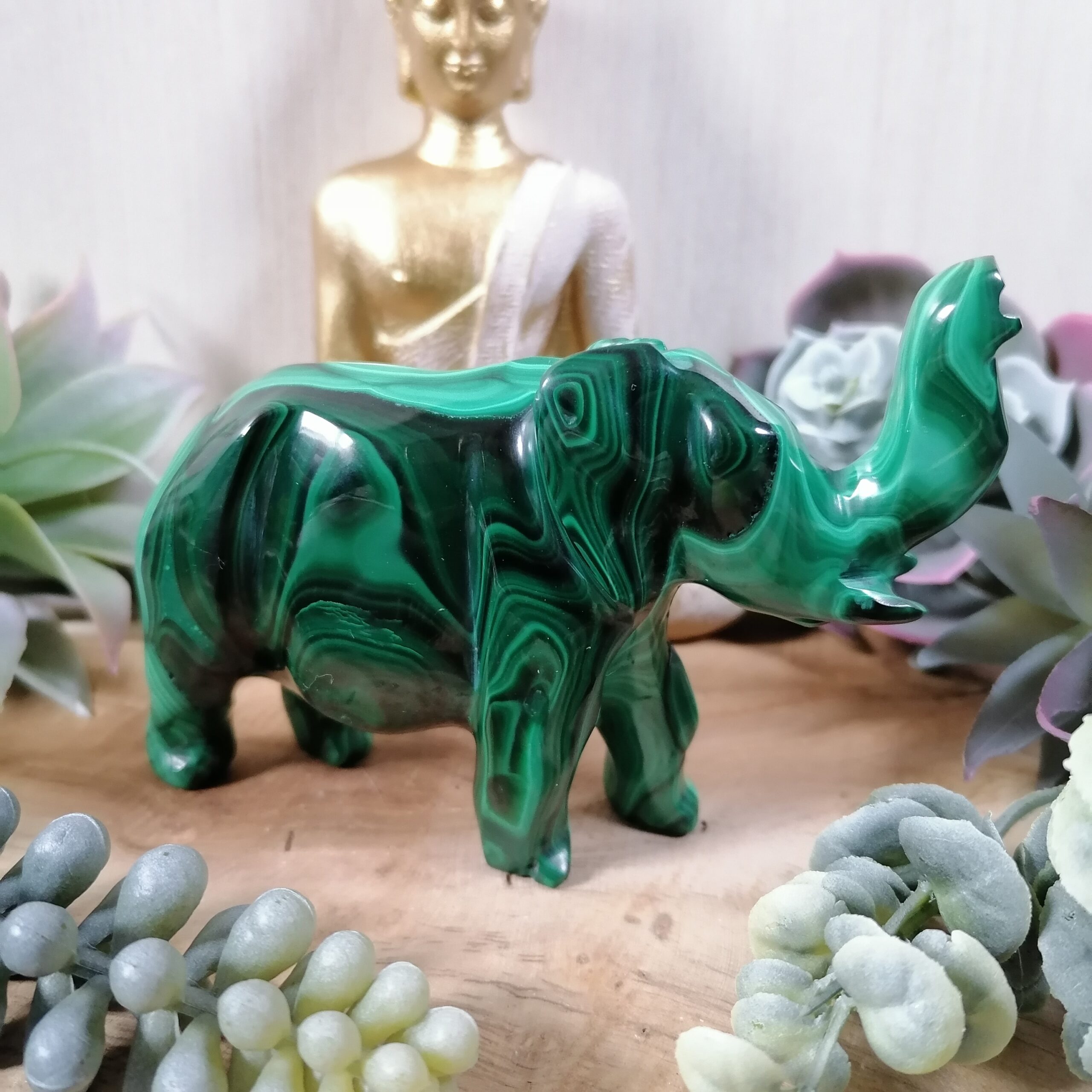 Malachite Grand éléphant- émotions, choix, confiance, connaissances